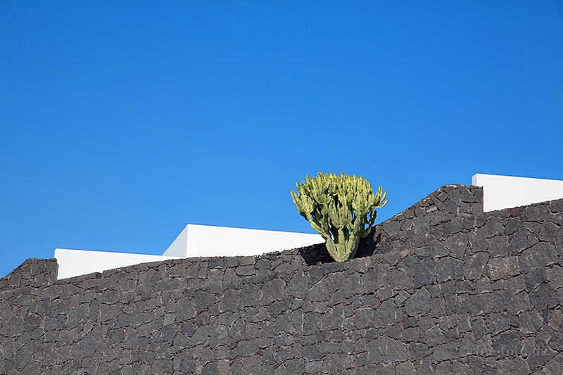 typical Lanzarote architecture